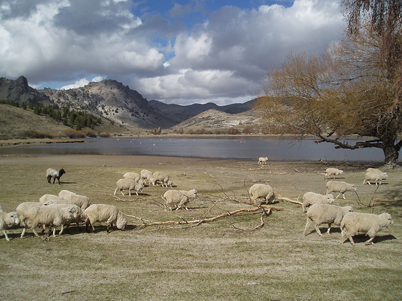 Estepa Patagónica un místico viaje al