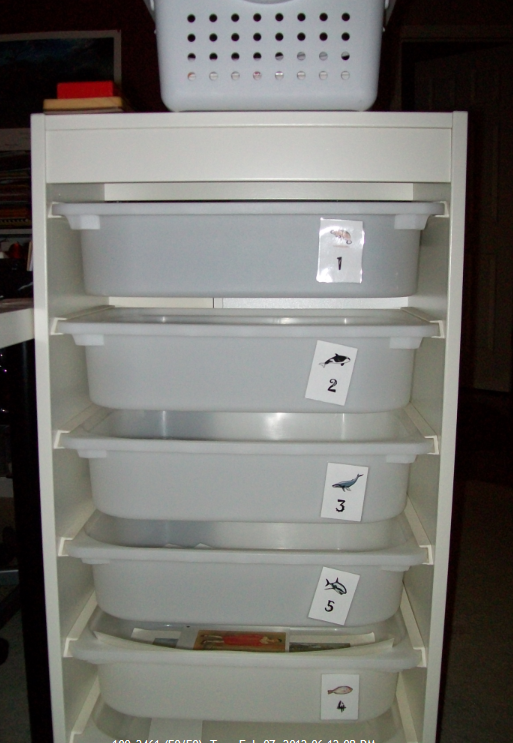 What's in the Box?: workbox Ideas