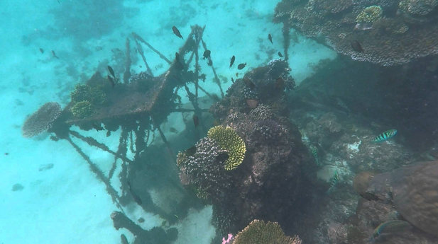 11 Best Snorkeling Places in Bali