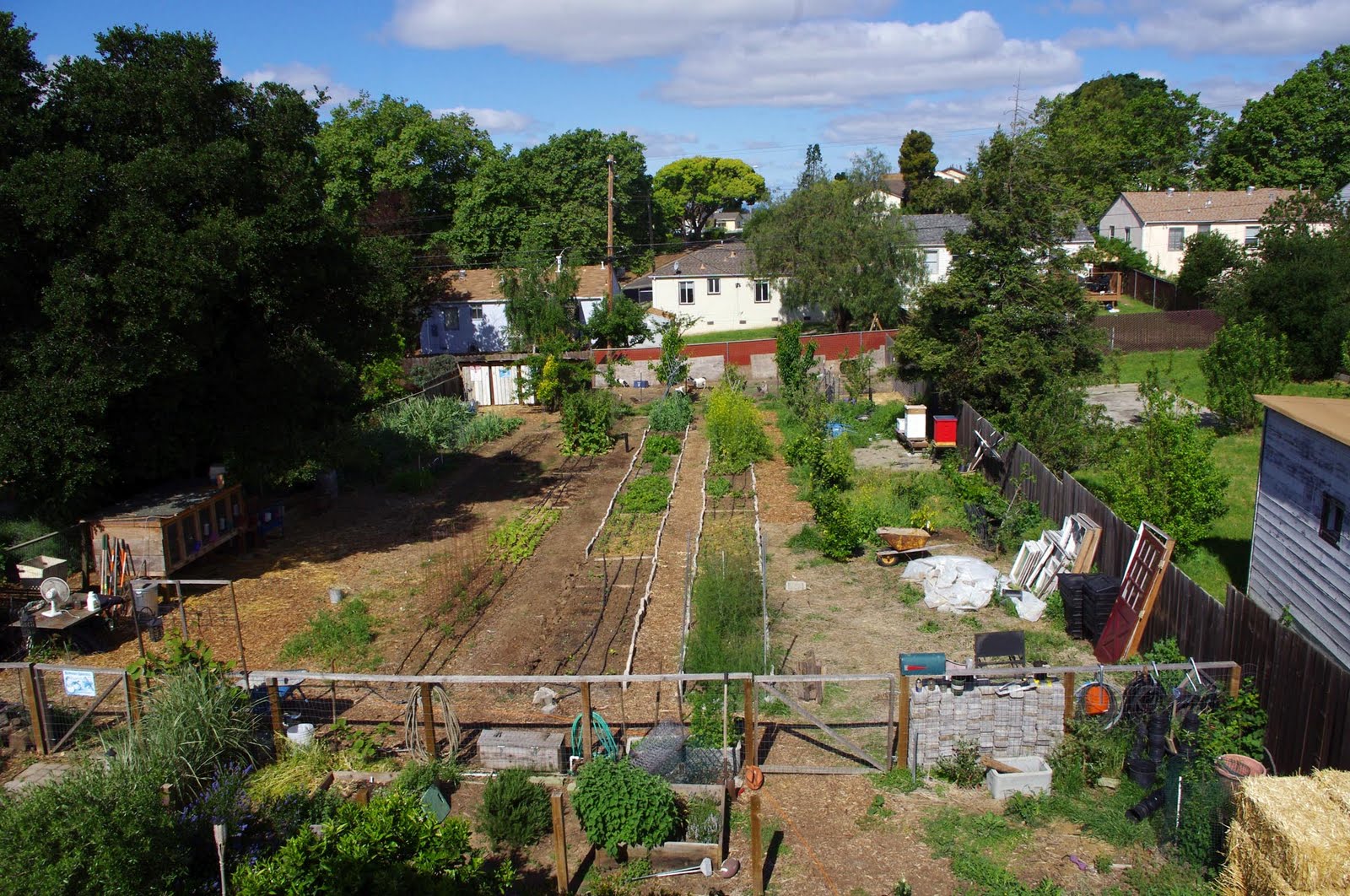 Backyard Farming Your Backyard Farm