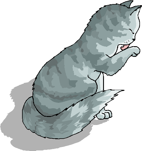 free funny cat clip art - photo #5