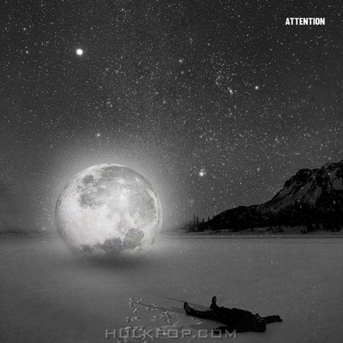 Normalpuppy – Attention – Single