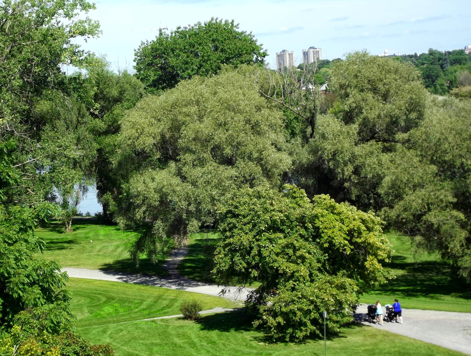 In The Garden Experimental Farm Ottawa