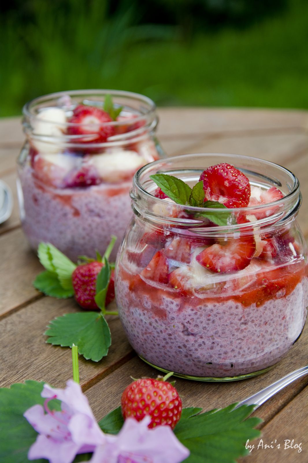 veganer Erdbeer-Chia-Pudding mit Kokosmilch - Ani&amp;#39;s bunte Küche