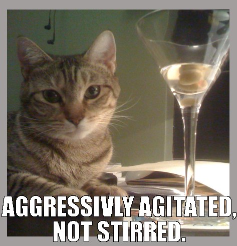 funny cat martini