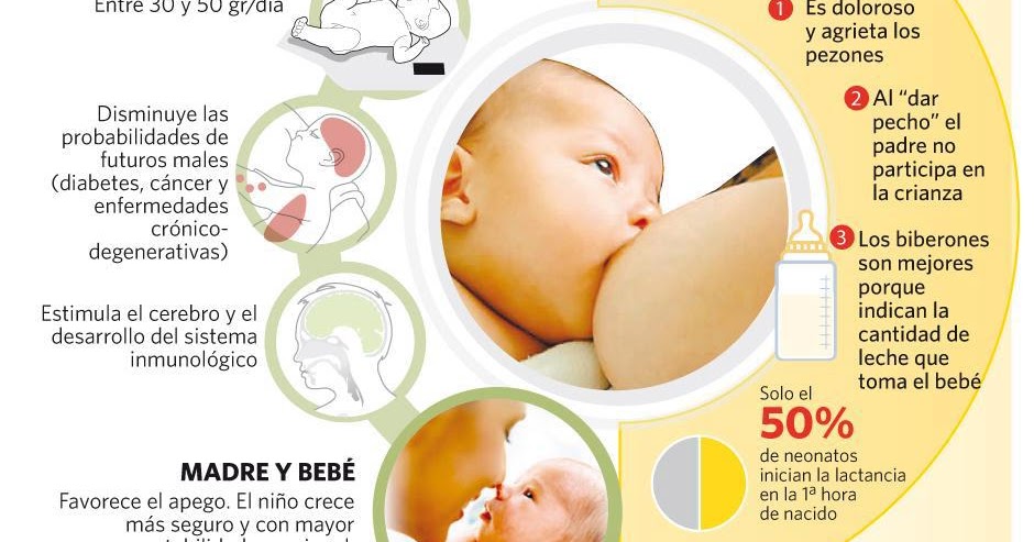 Alimentos que aumentan la leche materna