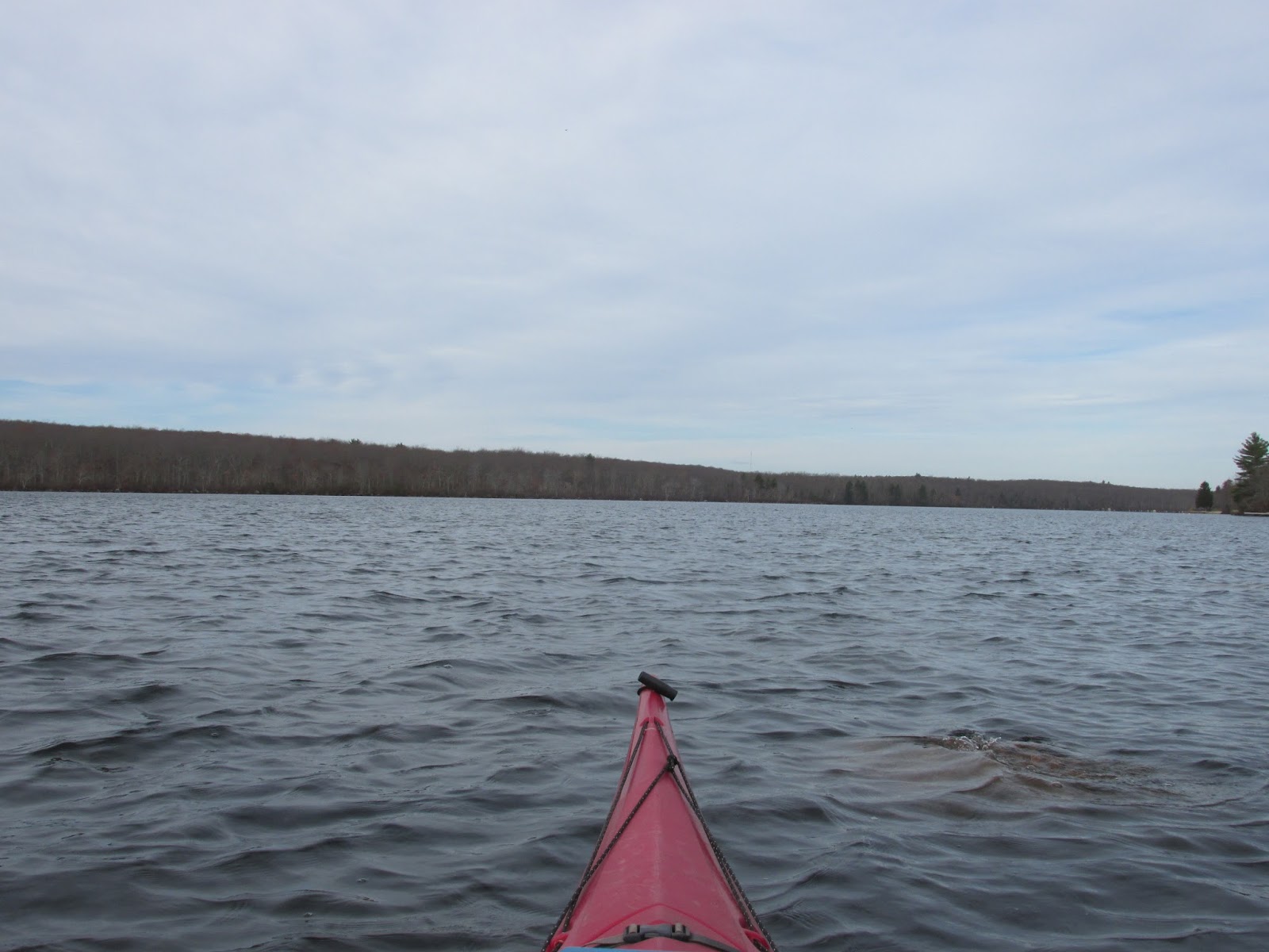 Trashpaddler Went to Wallum