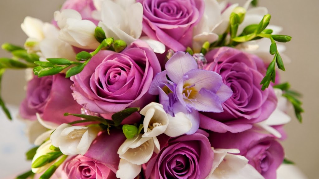 10 Gambar Bunga Cantik Dan Indah Gambar Top 10