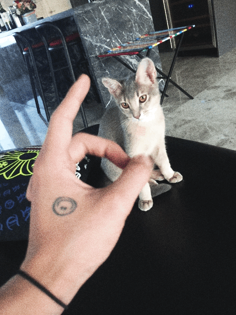 42.gif