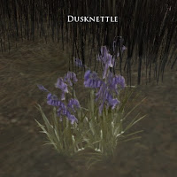 Dusknettle