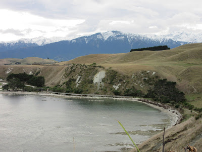 Península de Kaikoura, en Nueva Zelanda Península de Kaikoura, en Nueva Zelanda