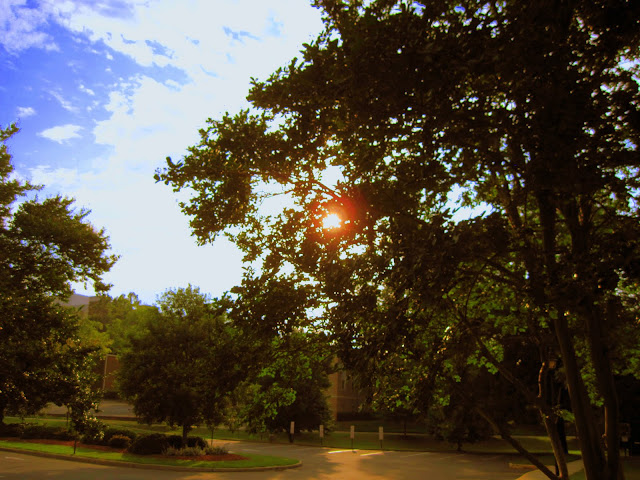 A Year in Photos: June 1st - June 7th