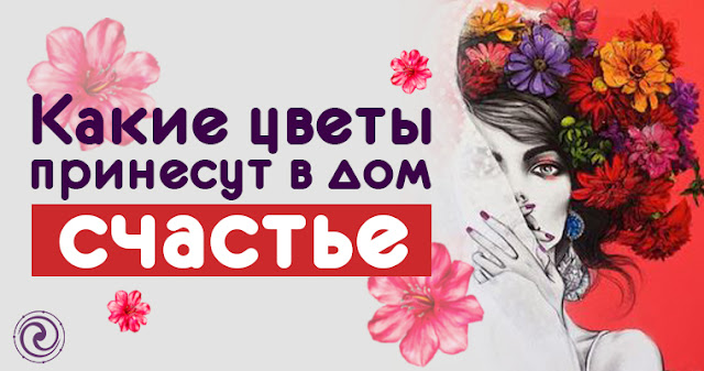 Какие цветы принесут в дом счастье