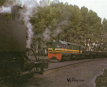 Locomotora Diesel y de Vapor frente a frente.