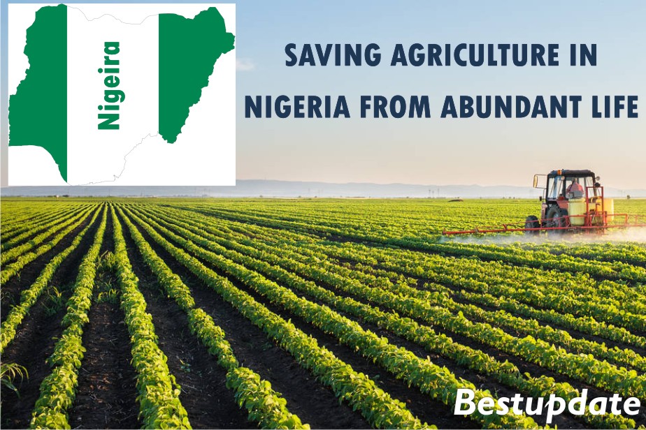 Saving Agriculture in Nigeria from Abundant Life Bestupdate