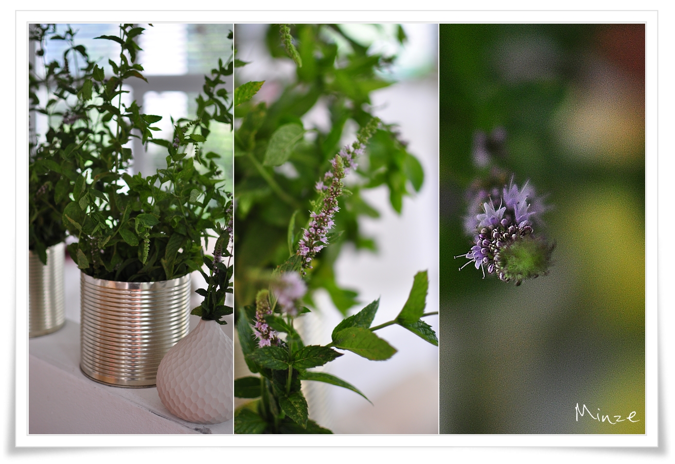 Sirup aus Minze und Lavendel