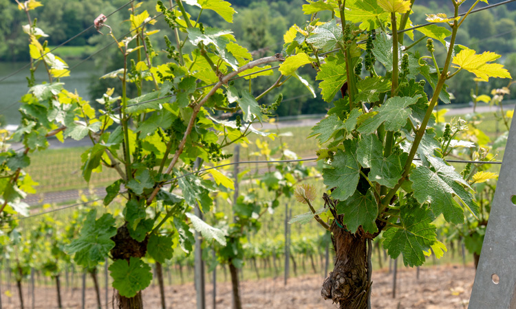 Mein Kind Geht In Eine Freie Schule Lernen In Alternativschulen