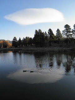 walking flagstaff: spring arriving