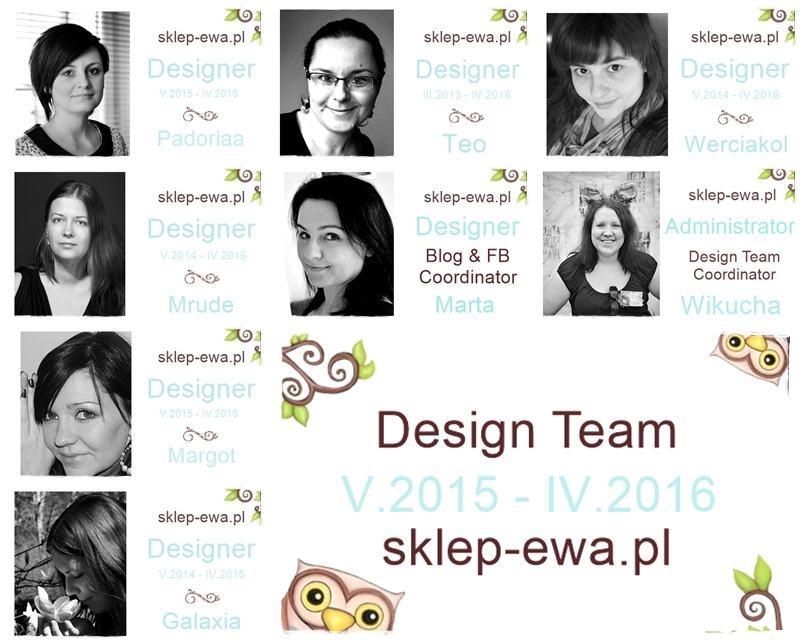 Design Team 2015 - 2016 