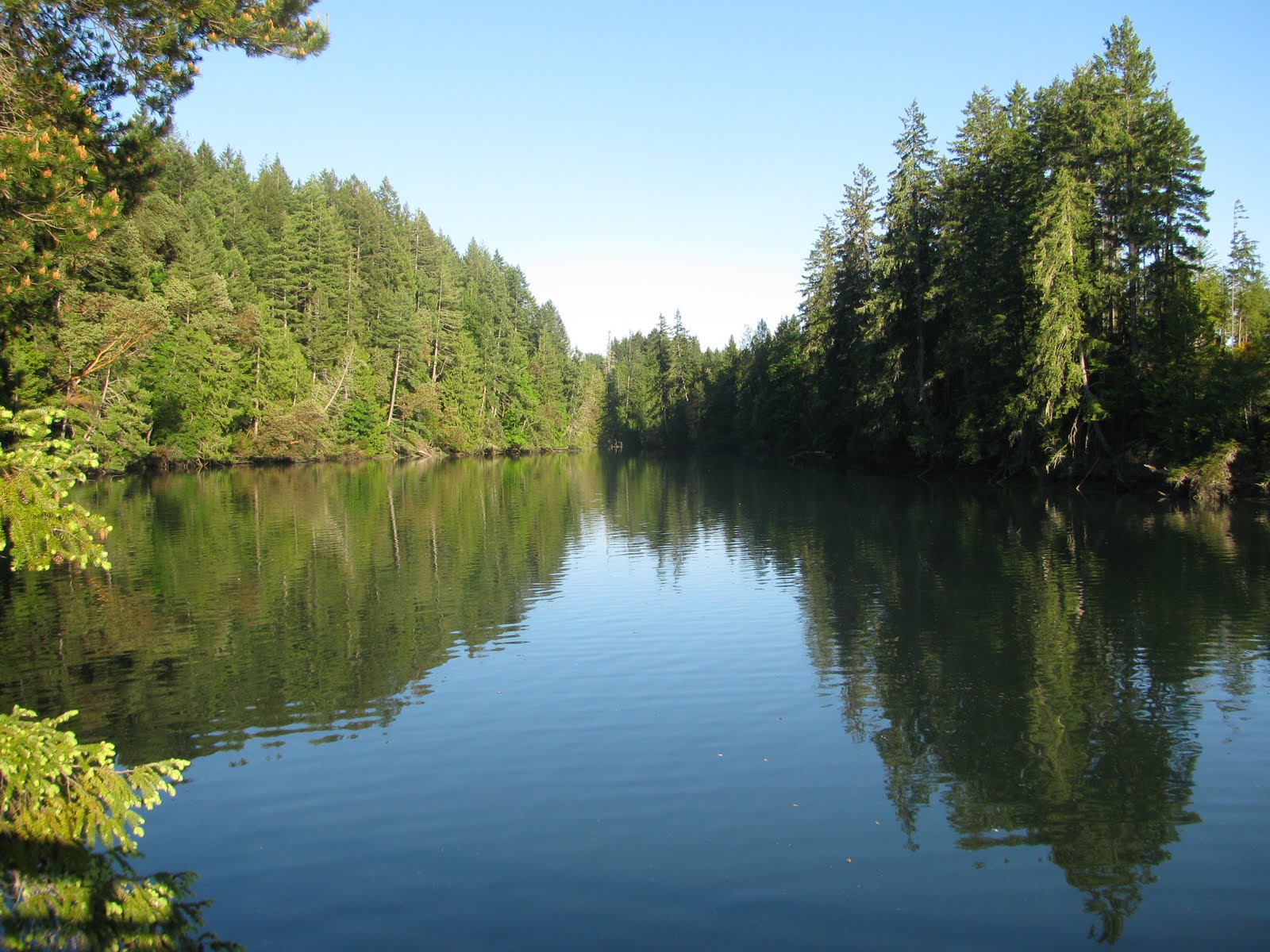 Beautiful Washington State Jarrell Cove State Park (on Harstine Island