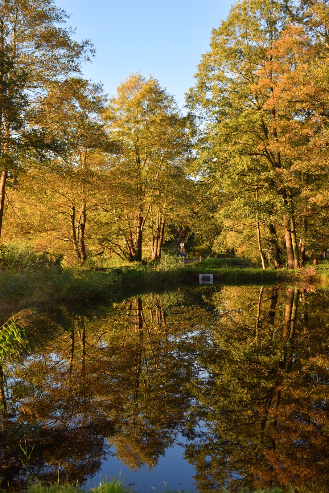 Mit 8 Megapixeln durch die Niederlausitz