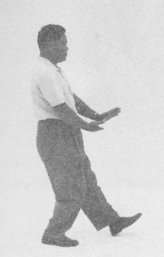 Tai Chi Chuan (Square Form) 14. Step Up, Parry And Punch