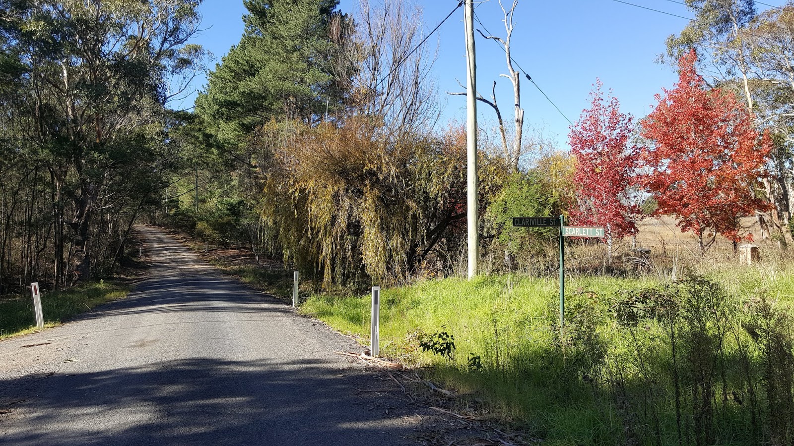 LL's Blog: The Week So Far