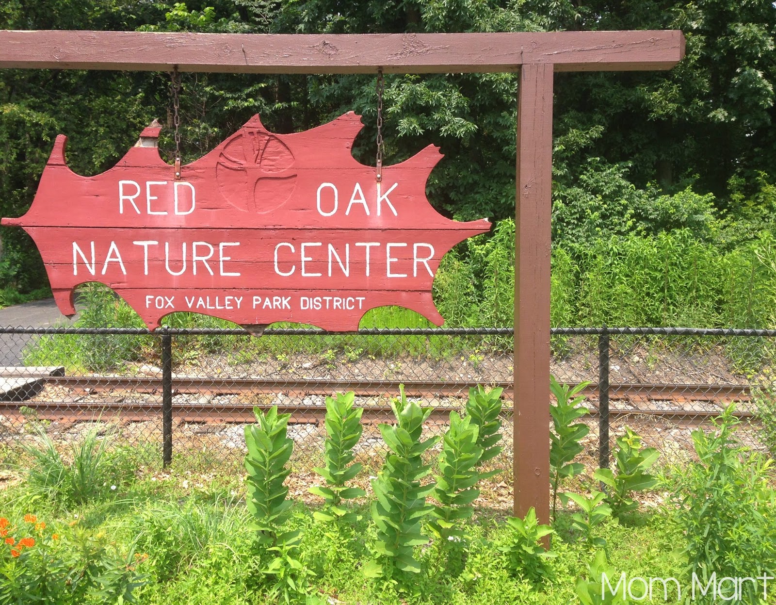 Fun and Free in Illinois: Red Oak Nature Center