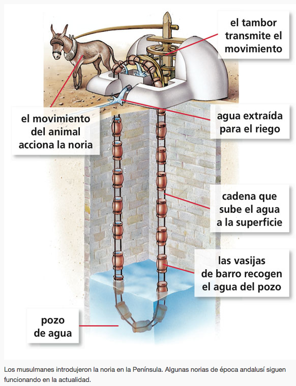 2_2. EL ISLAM LA NORIA Y EL REGADÍO. EL OLIVAR. 2_2. EL ISLAM LA NORIA Y EL REGADÍO. EL OLIVAR.