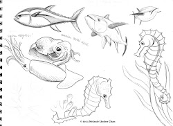 sketching sea creatures ocean sketch sketchy feelin habitat raindrop