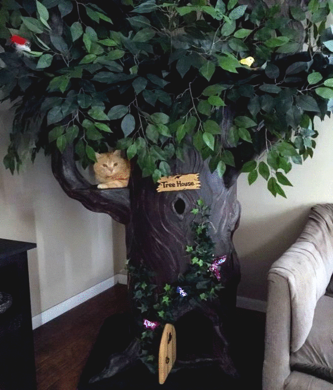 The Best Cat Tree Ever