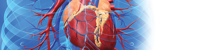 Cara Pengobatan Penyakit Jantung Rematik dan Diagnosis Gejala Rematik Jantung 