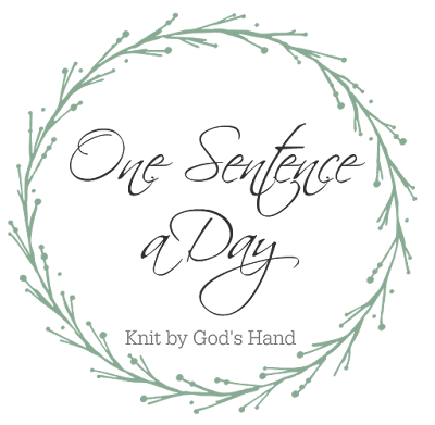 Knit By God's Hand: One Sentence a Day - February 2020 Edition