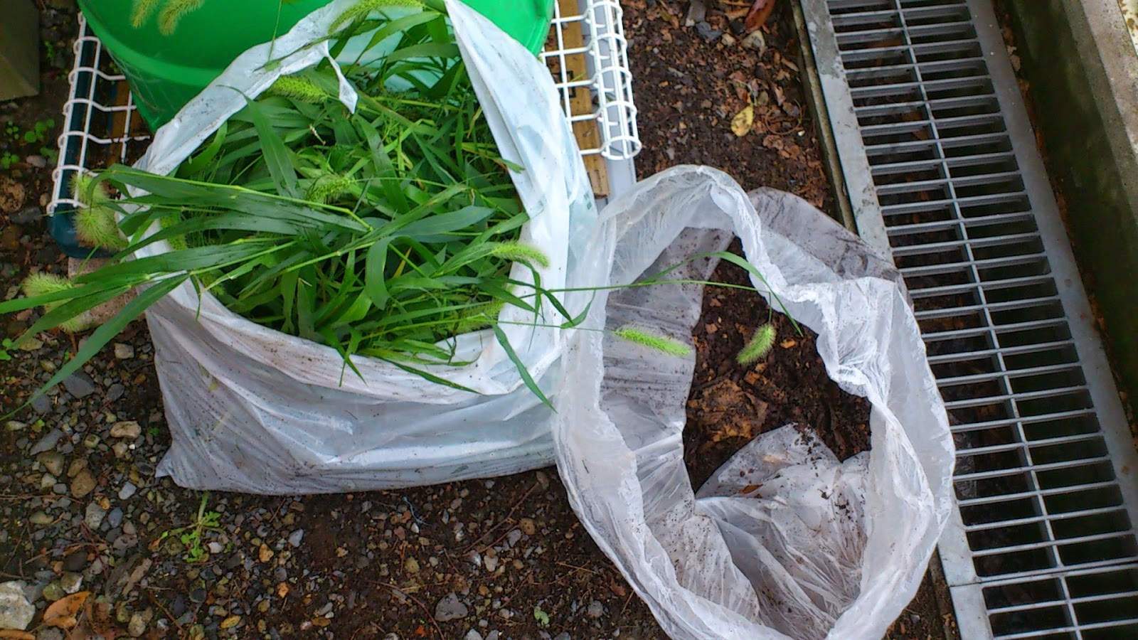 ごみ袋方式での簡易堆肥の作り方 Kitchengarden