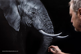 10-Elephant-Richard-Symonds-www-designstack-co