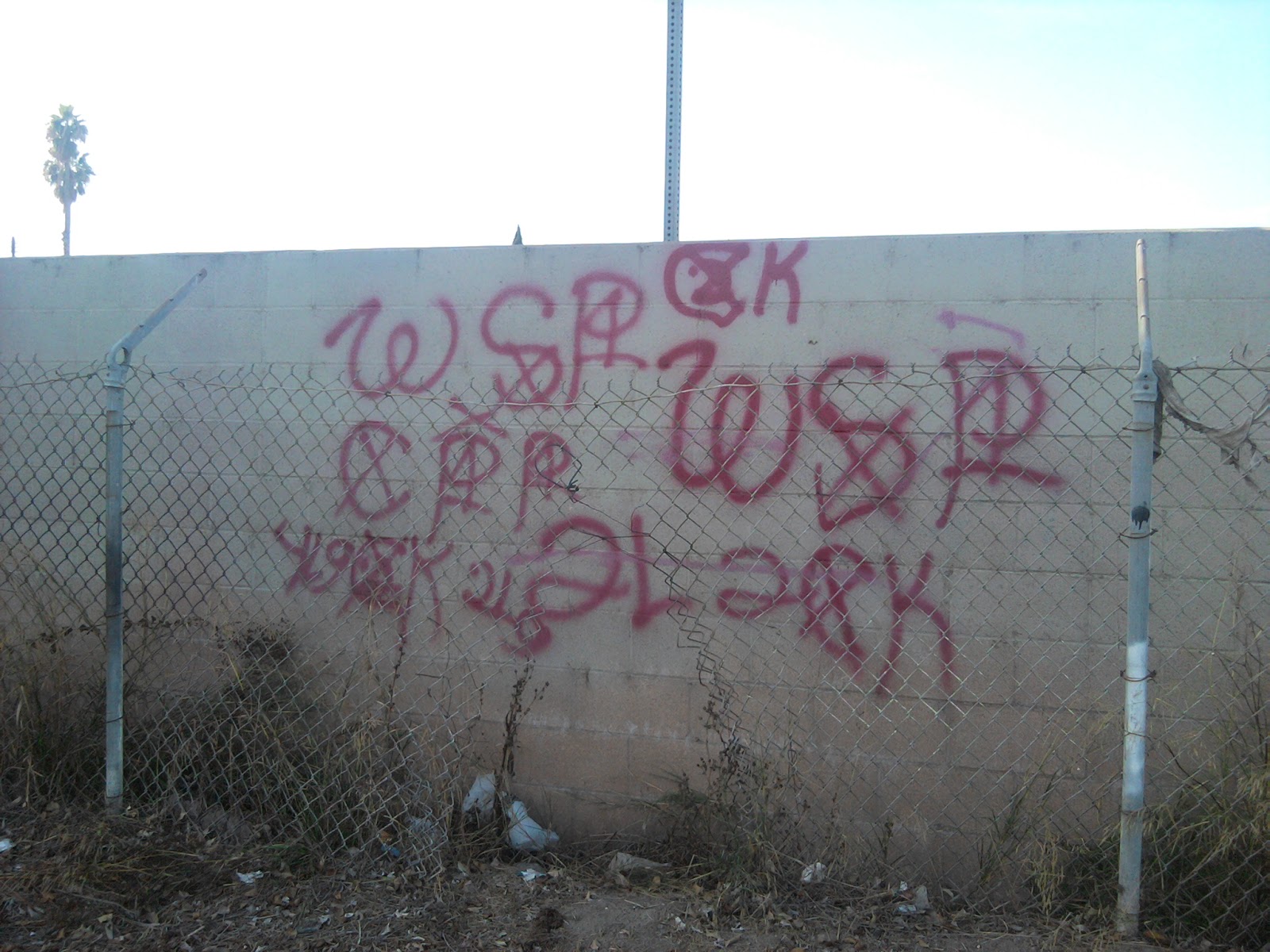 blood gangs graffiti Campanella park piru ( compton )