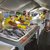 Peixe barato e de qualidade para a população de Santa Luzia amanhã - 2 mil quilos de peixes na "Feira do Pescado da Semana Santa"