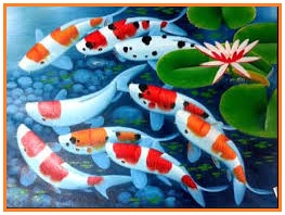 Warna warni yang terdapat pada ikan koi menunjukkan