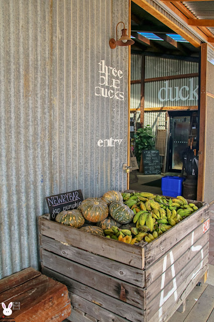 dolcebunnie the farm byron bay three blue ducks