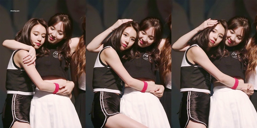 (ㄷㅇㅌ)트와이스 채영의 별명이 아기맹수인 이유