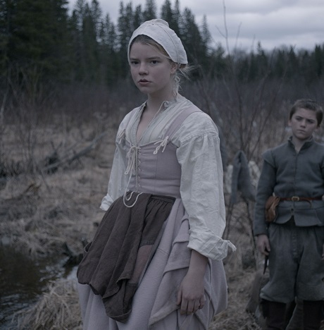 Flying The Hedge October 2019