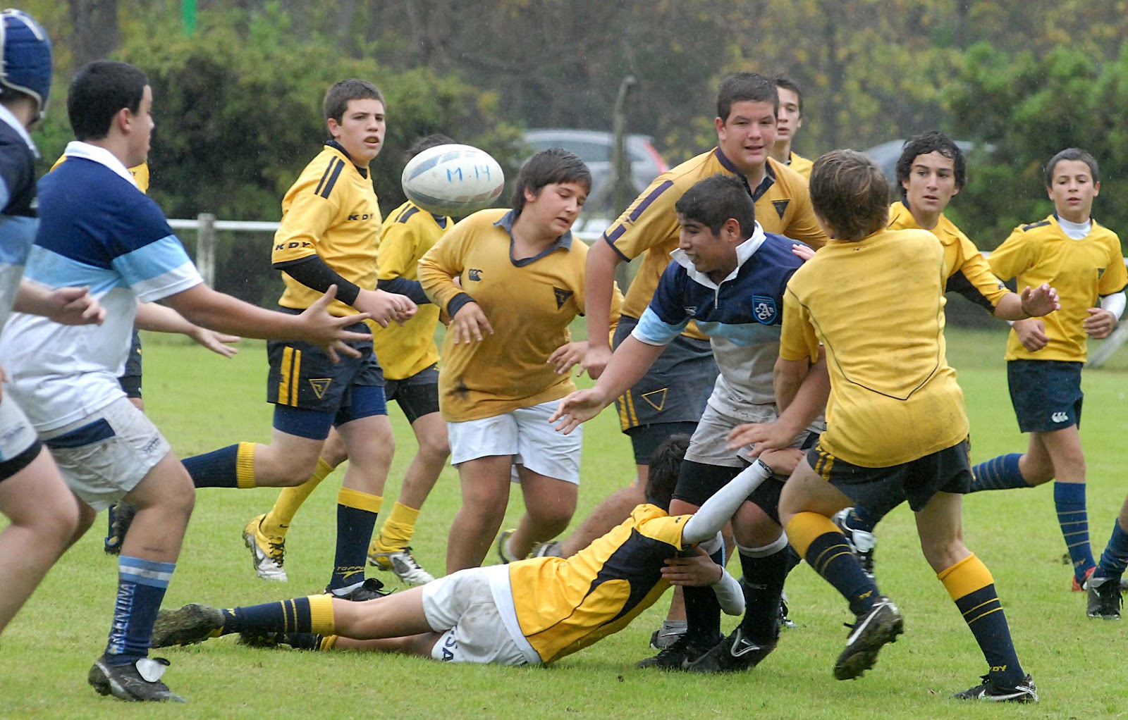 La Plata Rugby Club 1998 abril 2012