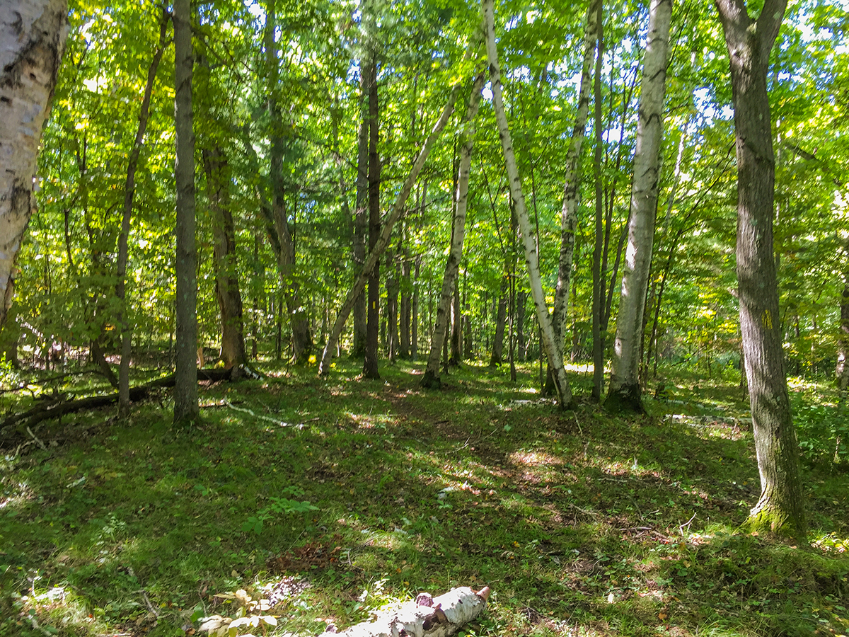 Ice Age Trail Pine Lake Segment