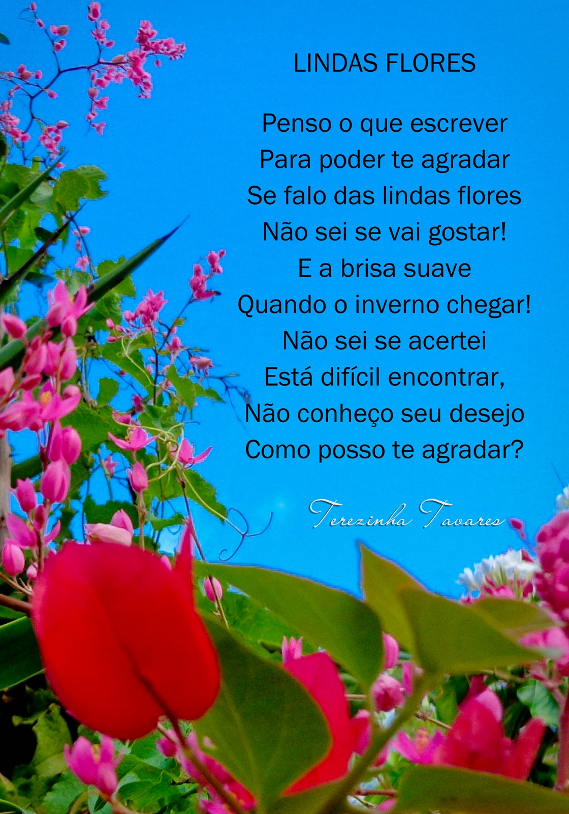 Terezinha Tavares Poema Lindas Flores