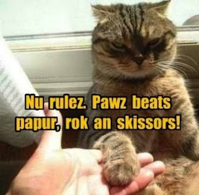 Funny animal captions, animal pictures with captions, lol animals
