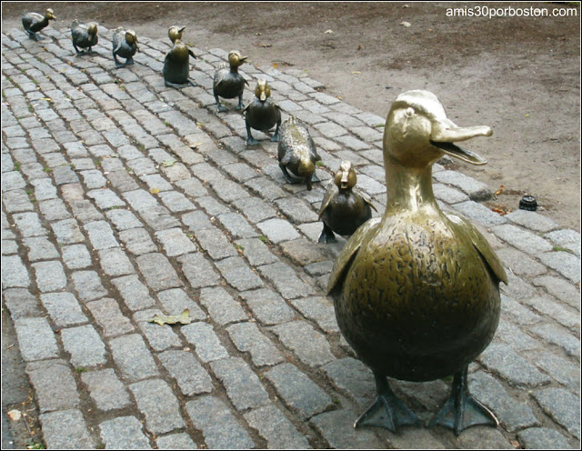 Make Way for ducklings!