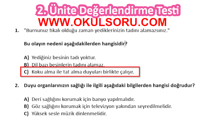 MEB Yayınları 3.Sınıf Fen Bilimleri Ders Kitabı 62.Sayfa Cevapları (Beş Duyumuz 2. Ünite Değerlendirme Testi) MEB Yayınları 3.Sınıf Fen Bilimleri Ders Kitabı 62.Sayfa Cevapları (Beş Duyumuz 2. Ünite Değerlendirme Testi)