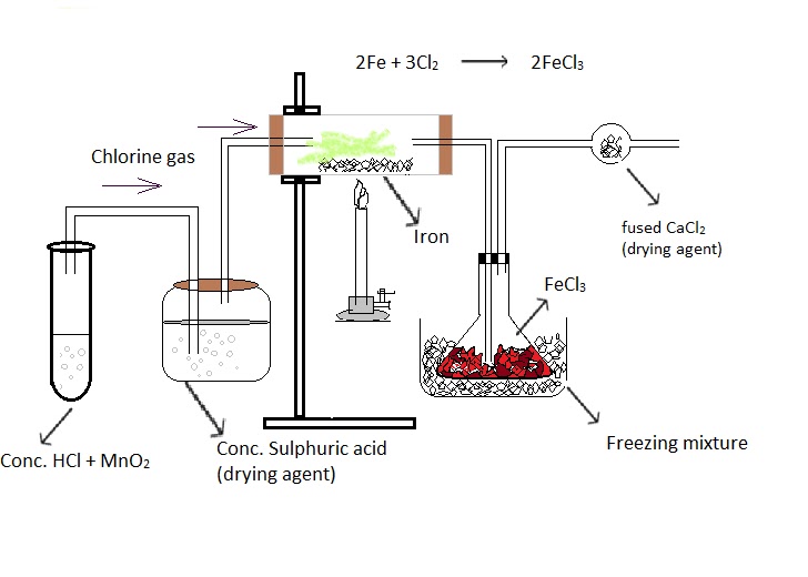 Preparation of Iron (III) chloride (Ferric chloride)