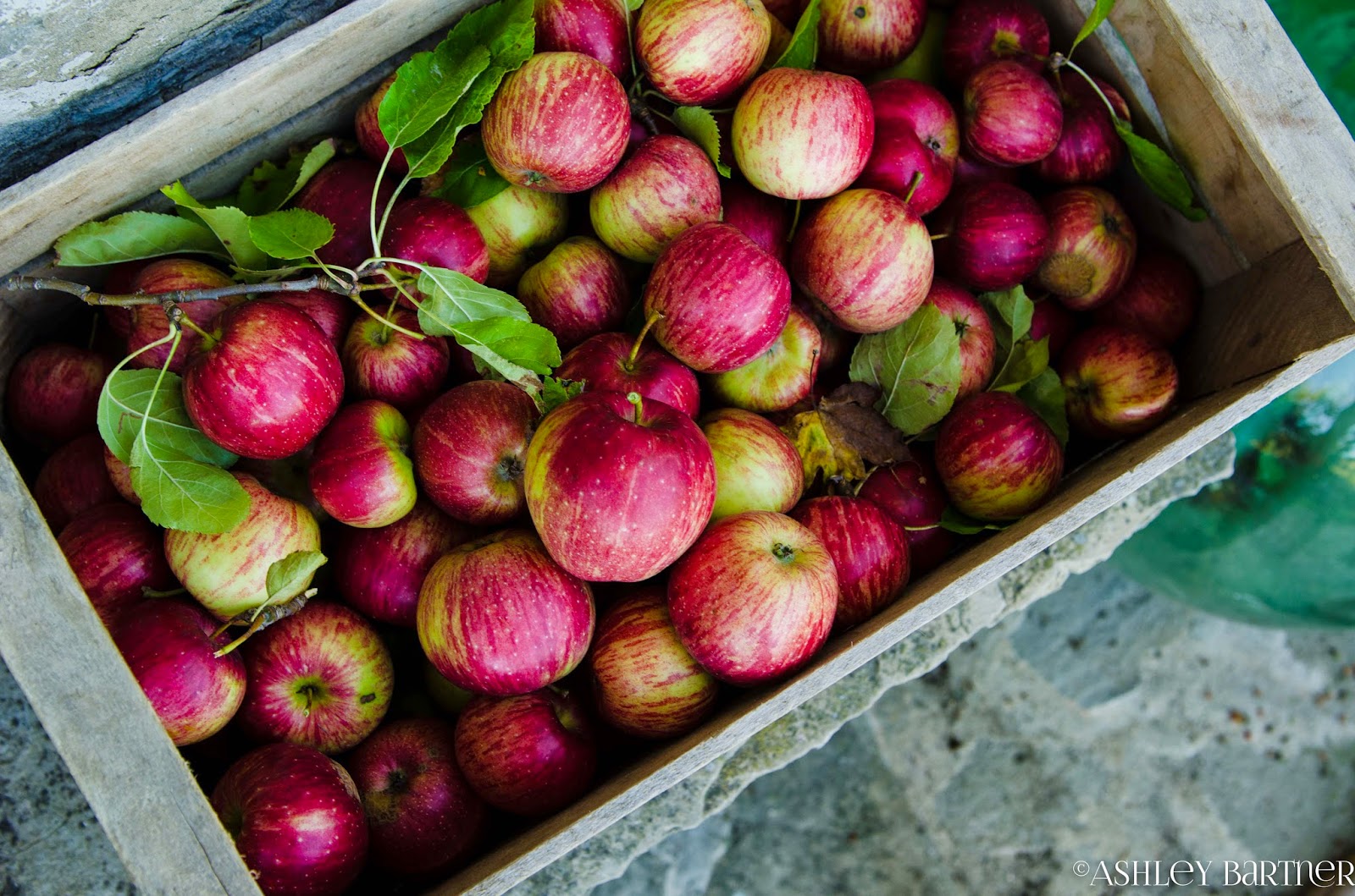 La Tavola Marche Happy Apple Season! Recipes & Photos from our Apple