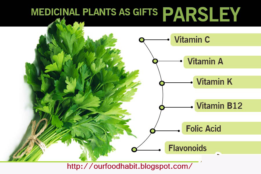 Parsley Herb Benefits